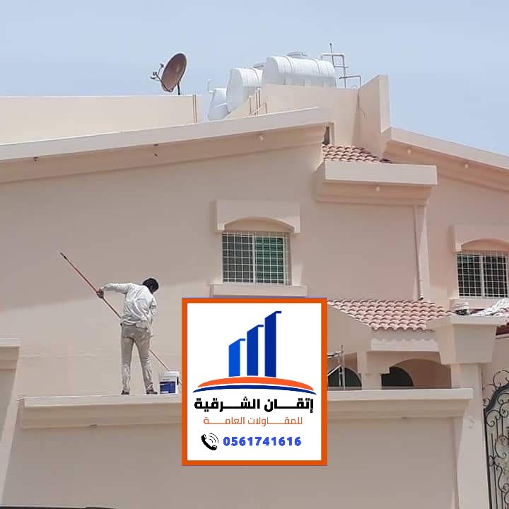 اصباغ خارجية